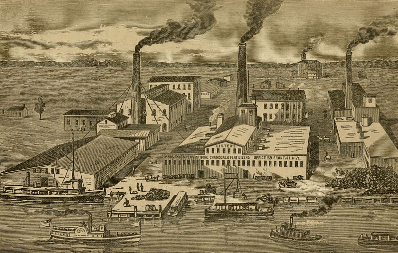 Lister Avenue
Photo from "Industrial Interests in Newark 1874"
