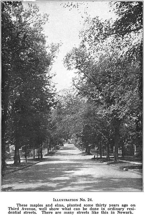 Third Avenue
1915
Photos from "Comprehensive Plan of Newark 1915"
