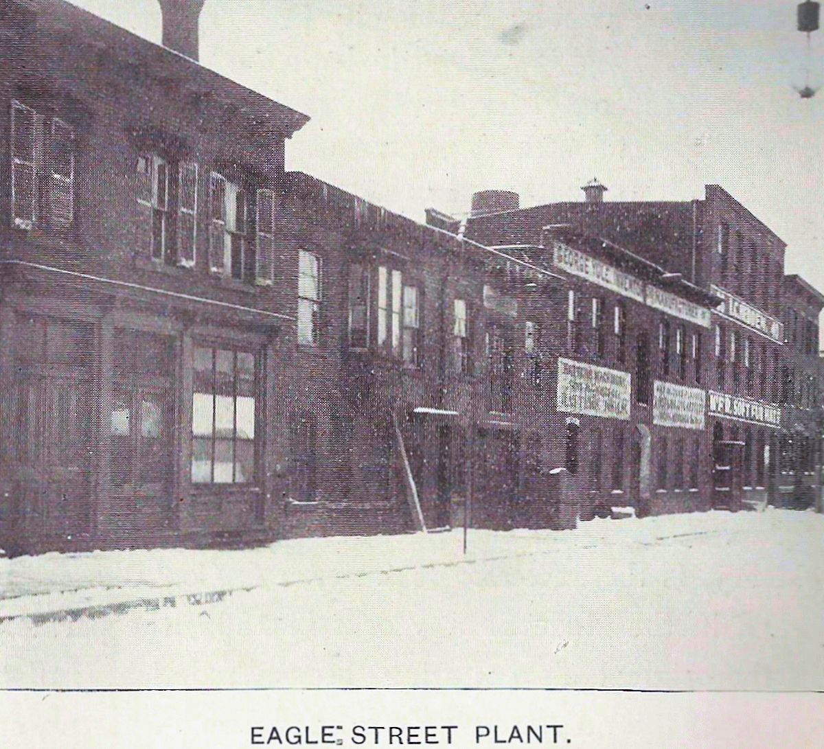 28 Eagles Street
George Yule Manufacturer - 1901

