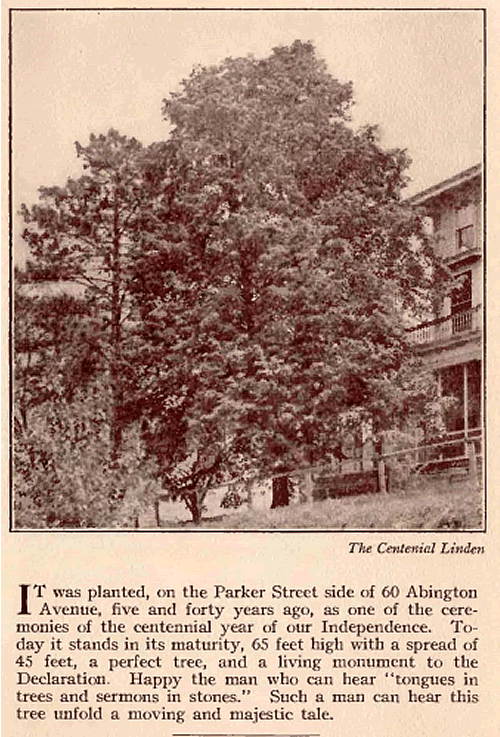 60 Abington Avenue
From "Our Own Hall of Fame" Arbor Day, 1921
