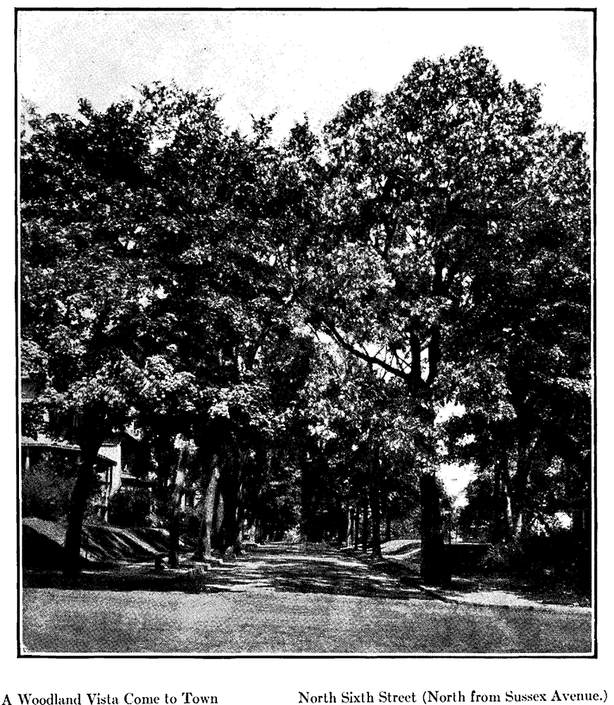 North 6th Street, north from Sussex Avenue
From "Shade Tree Commission of the City of Newark, New Jersey" 1914
