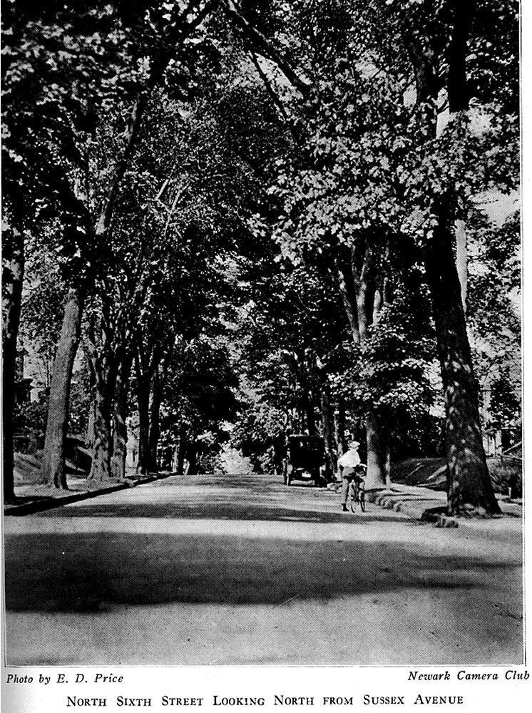 North 6th Street looking north from Sussex Avenue
From "Shade Tree Commission of the City of Newark, New Jersey" 1918

