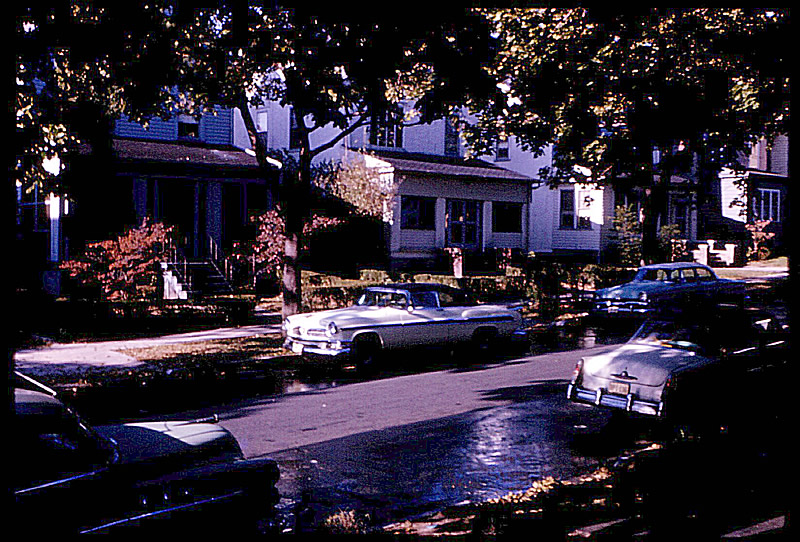 209 Weequahic Avenue
Weequahic Ave From in front of 209 Weequahic Ave. If you went right and to the next street ( Clinton Place ) There was a block of small stores on which one was "Hatoff's Candy Store" where we all used to hang out.
Photo from David Gornitzky
