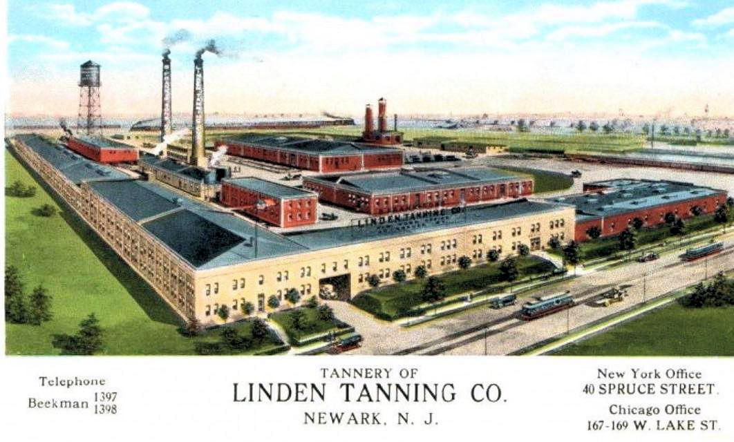 442 Frielinghuysen Avenue
