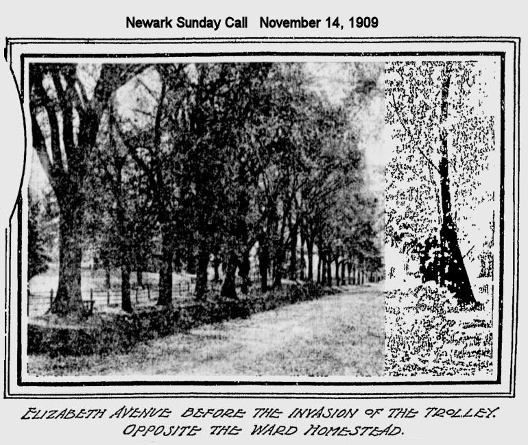 Elizabeth Avenue opposite Lyons Avenue
1909
