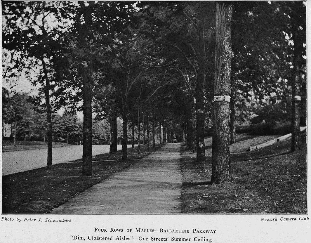 Ballantine Parkway
From "Shade Tree Commission of the City of Newark, New Jersey" 1918
