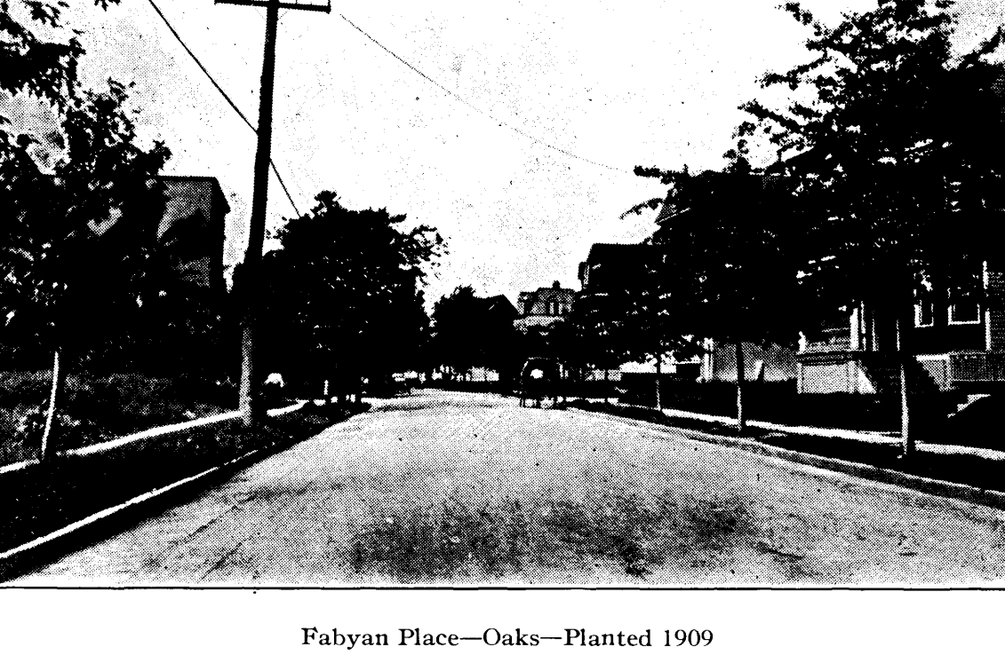 Fabyan Place
From "Shade Tree Commission of the City of Newark, New Jersey" 1915
