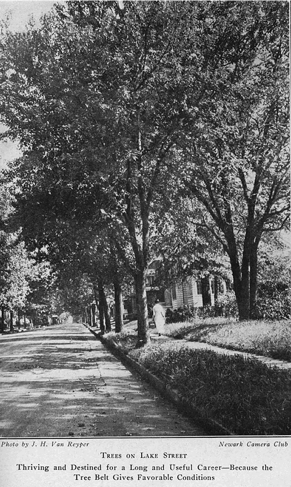 Lake Street
From "Shade Tree Commission of the City of Newark, New Jersey" 1918
