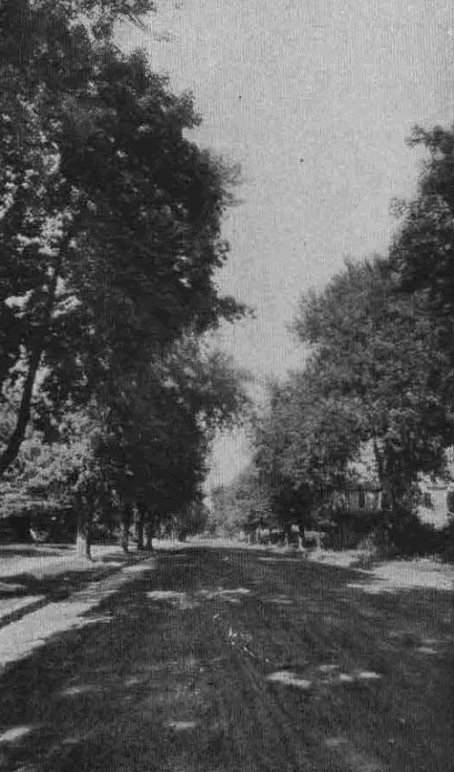 Lincoln Avenue
From "Shade Tree Commission of the City of Newark, New Jersey" 1908
