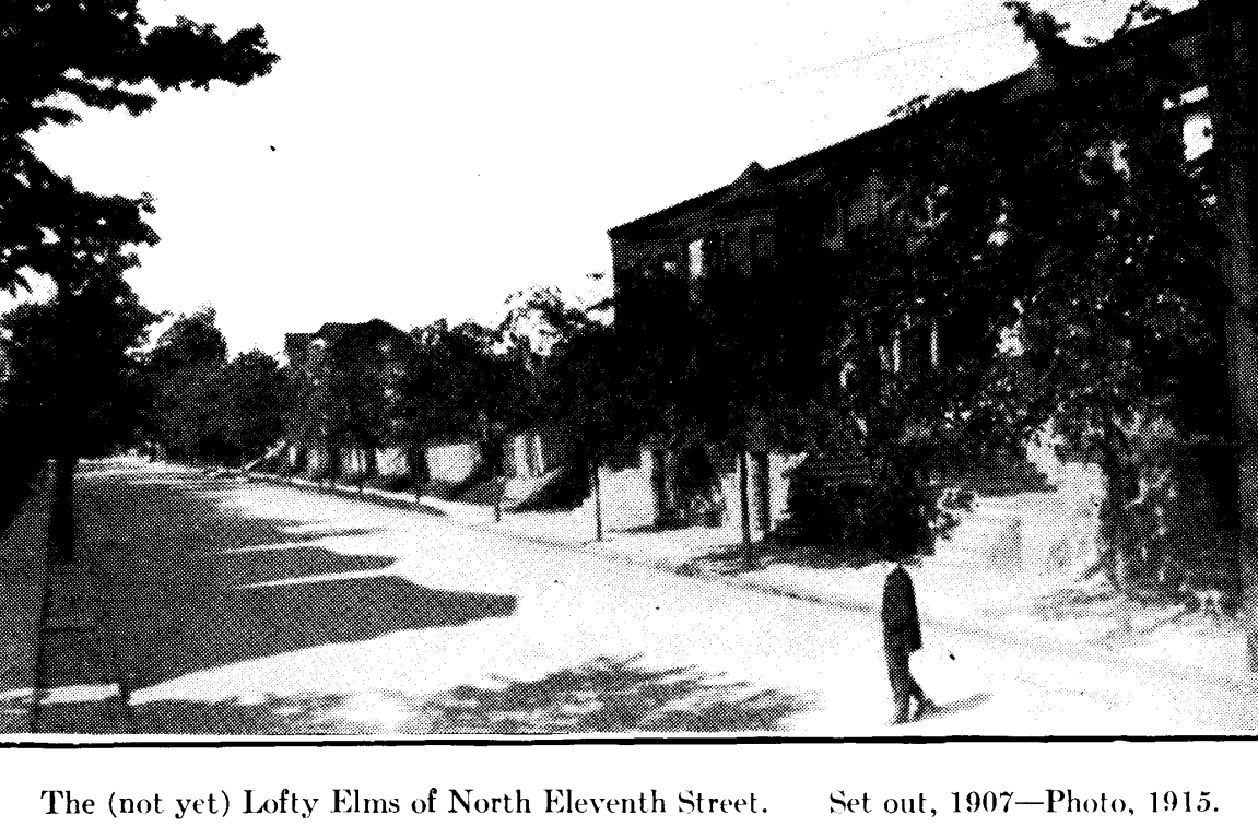 North Eleventh Street
From "Shade Tree Commission of the City of Newark, New Jersey" 1914
