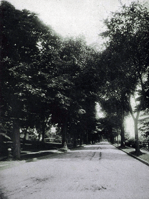 North 5th Street
From "Shade Tree Commission of the City of Newark, New Jersey" 1908
