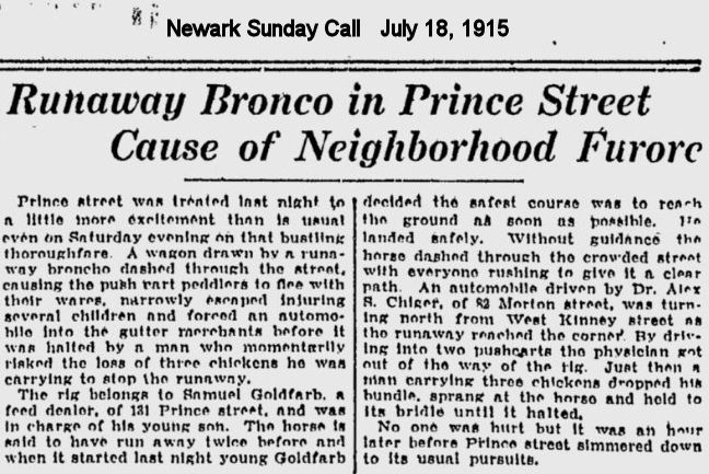 Runaway Bronco in Prince Street Cause of Neighborhood Furore
1915
