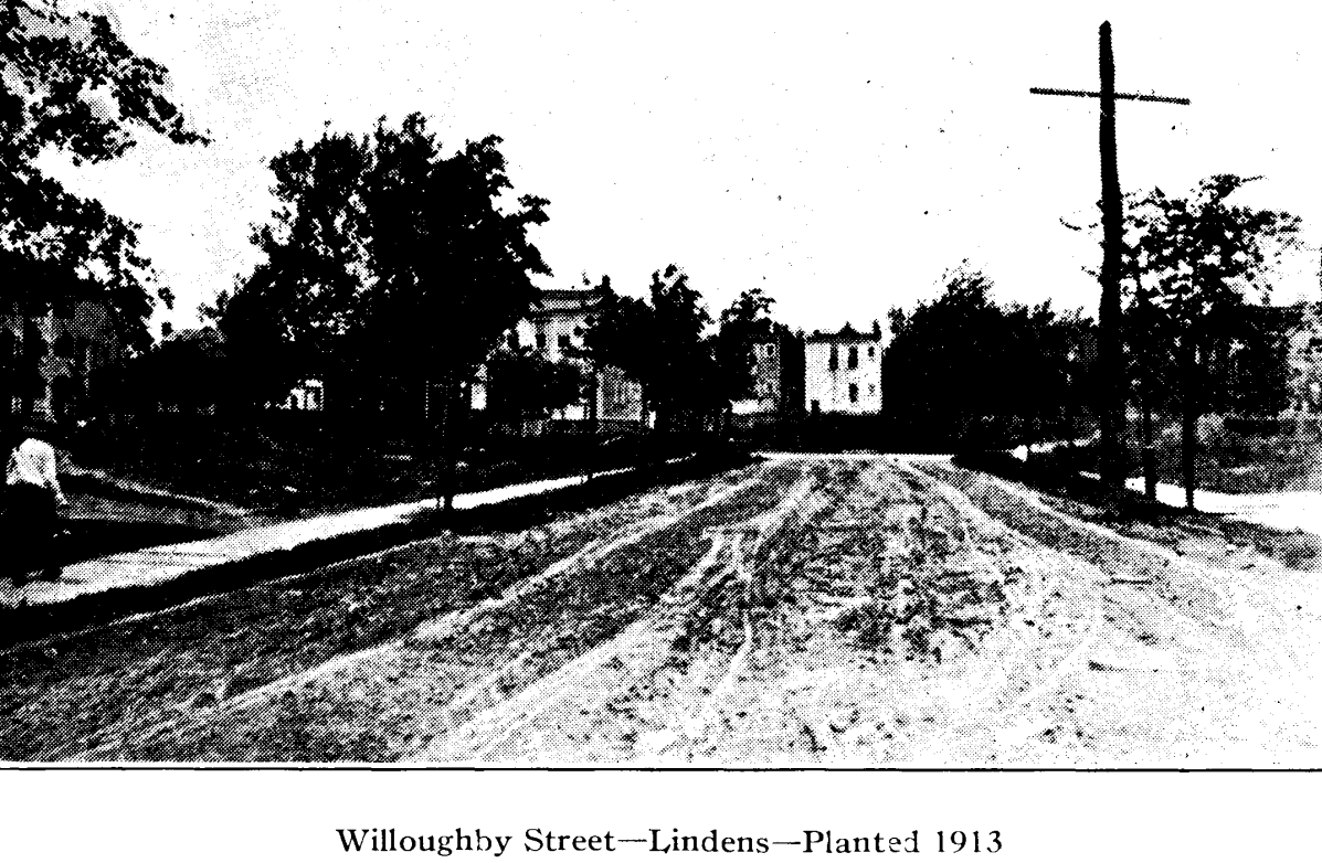 Willoughby Street
From "Shade Tree Commission of the City of Newark, New Jersey" 1915
