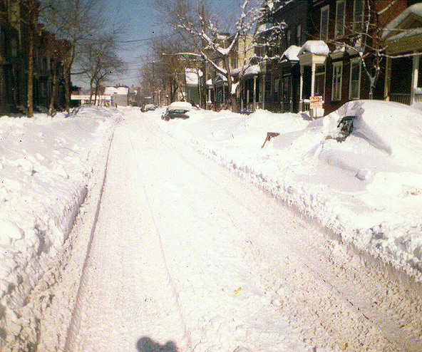 Looking North from 99 Brill Street
1965
Photo from Bill Montferret
