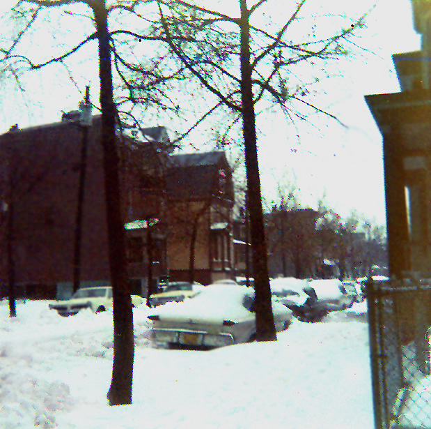 Looking South from 99 Brill Street
1965
Photo from Bill Montferret
