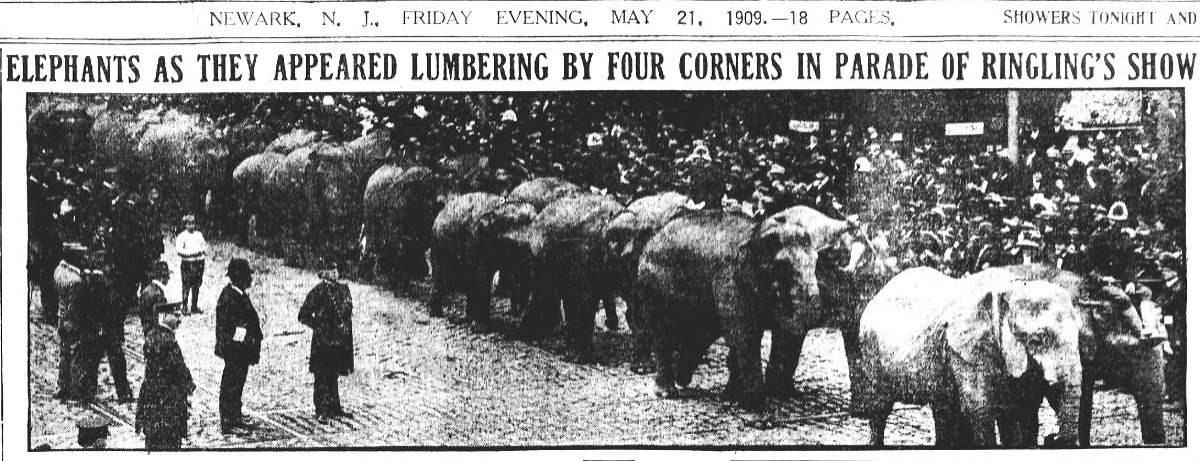 Elephants as They Appeared Lumbering by Four Corners in Parade of Ringling's Show
May 21, 1909
Newark Star
