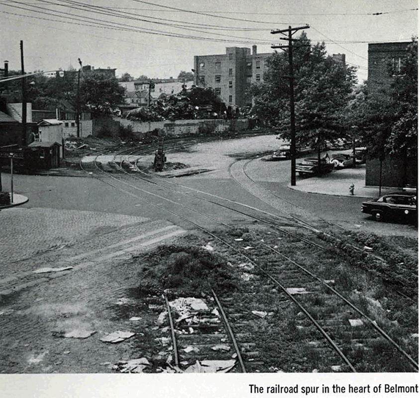 Jelliff Avenue & Rose Street
From: ReNew Newark 1961
