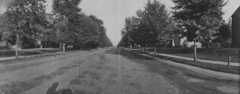Montclair Avenue
From "Shade Tree Commission of the City of Newark, New Jersey" 1908
