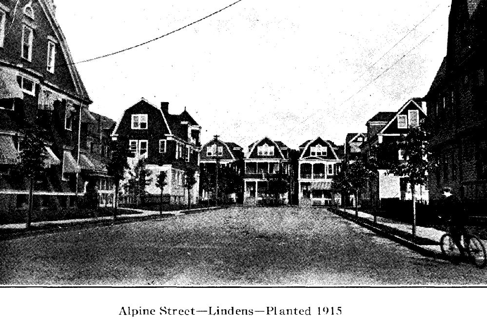 Alpine Street
From "Shade Tree Commission of the City of Newark, New Jersey" 1915
