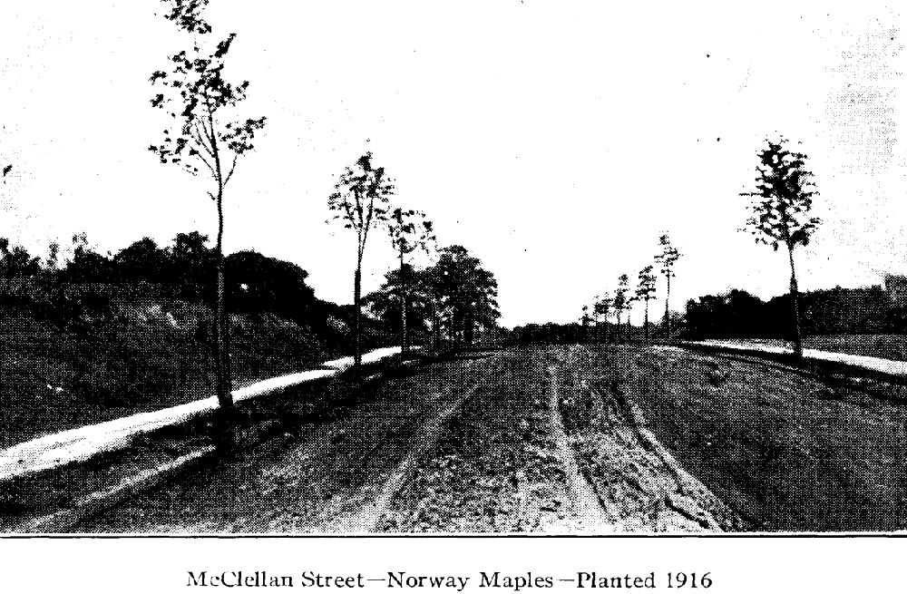 McClellan Street
From "Shade Tree Commission of the City of Newark, New Jersey" 1915
