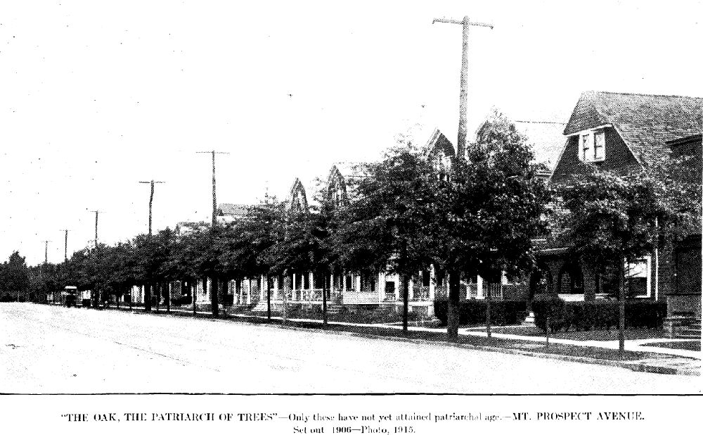Mount Prospect Avenue
From "Shade Tree Commission of the City of Newark, New Jersey" 1914

