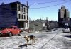 0000longworthstreet.jpg