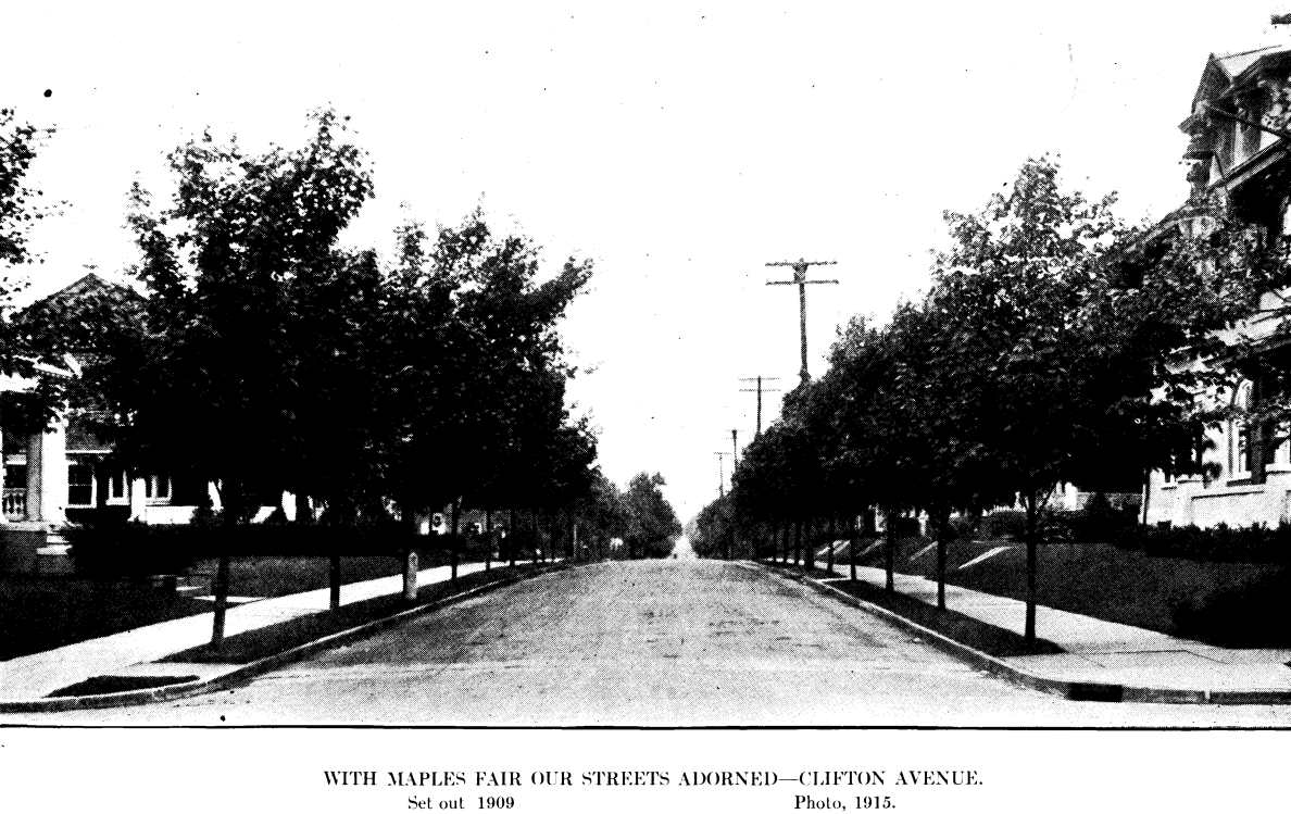 Clifton Avenue
From "Shade Tree Commission of the City of Newark, New Jersey" 1915
