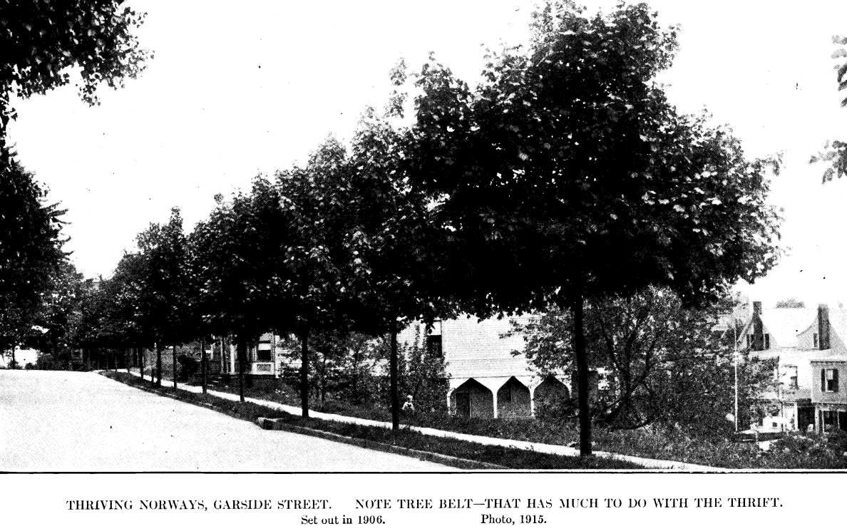 Garside Street
From "Shade Tree Commission of the City of Newark, New Jersey" 1914
