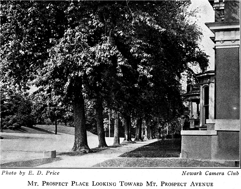 Mount Prospect Place looking towards Mount Prospect Avenue
From "Shade Tree Commission of the City of Newark, New Jersey" 1918
