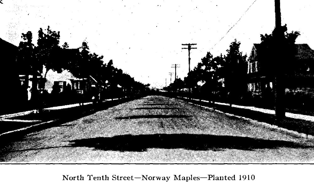 North 10th Street
From "Shade Tree Commission of the City of Newark, New Jersey" 1915
