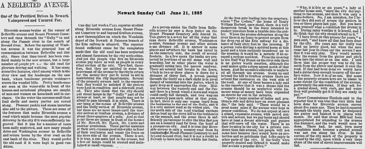 A Neglected Avenue
June 21, 1885
Newark Sunday Call
